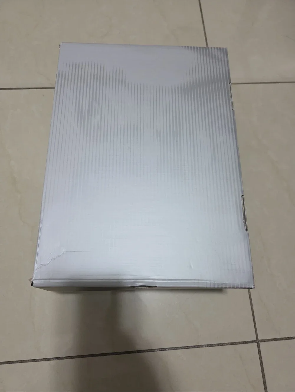 Empty Shoe Box